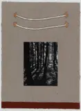 Elevate the Mind Through the Land by Greg Staats, silver print and mixed media on paper board, sold May 2021