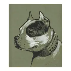 American Staffordshire Terrier by George Ford Morris, Ink wash and gouache on artist board, sold Feb 2024