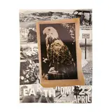 Earth Day by Robert Rauschenberg, Offset lithographic poster in colors, sold Feb 2024