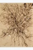 Itinéraire de cerveau by Bernard Réquichot, 1958, Encre de Chine rehaussée à la gouache sur papier ocre, sold Oct 2024
