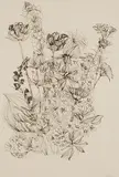 Alpenblumen by Erna Schillig, ink, offered Dec 2016