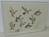 Auffliegende Stockenten by Fritz Hug, 1965, color lithograph, sold Dec 2016