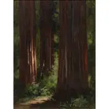 Redwoods by Charles Theller Wilson, 1897, oil on board, sold Dec 2023