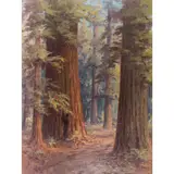 Redwood Grove by Martella Cone Lane, oil on canvas, sold Dec 2023