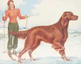 Pinup Illustration Art , Skier Dog by Arnold Armitage, oil, sold Jan 2024