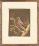 Bird Branch by Barbara Regina Dietzsch, gouache, sold Jan 2024