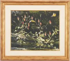 Columbine & Butterflies by John Chumley, watercolor, sold Jan 2022