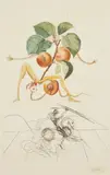 Abricot Chevalier by Salvador Dalí, gouache, sold Jan 2021