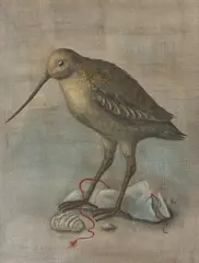 Bird Shells by Werner Wildner, tempera on panel, sold Jan 2019