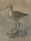 Bird Egg by Werner Wildner, tempera on panel, sold Jan 2019