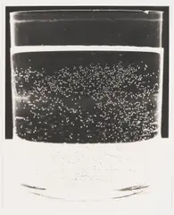 Glass 3 by Amanda Means, gelatin silver print, sold Jan 2026