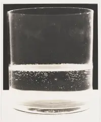 Glass 5 by Amanda Means, gelatin silver print, sold Jan 2026