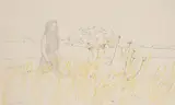 Girl in a Field by Carroll Cloar, graphite and colored, sold Jul 2025