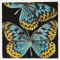 Monarchs by Donald Keith Sultan, 2006, screenprint, sold Jul 2025