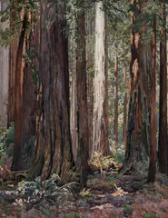 In the Redwoods by Gunnar Widforss, watercolor, sold Jul 2018