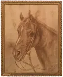 A Horse by Ida Jolly Crawley, 1900, charcoal, sold Aug 2017