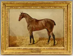 Portrait of a Horse by George Paice, oil on board, sold May 2013