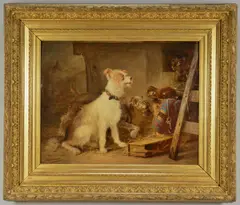 Notermann , terriers with cat by Zacharias Notermann, oil on board, sold Jan 2013