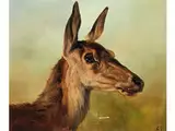 Kopf Einer Hirschkuh Nach Rechts vor Grünem Hintergrund by Ludwig Voltz, oil on board, sold Apr 2016