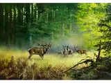 Hirsche im Wald by Josef Csiszar, oil on canvas, sold Dec 2016
