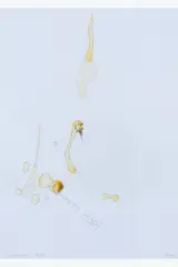 Sperma van de papegaai- Memento Mori by Jan Fabre, 1989-2000, Crayon et sperme sur papier, sold Jan 2025