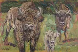 Wisent - Bison bison bonasus by Fritz Hug, oil on canvas, sold Sep 2016