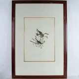 Large Offset Color Lithograph by Song Sparrow, Song Sparrow is a large 1971 color photo lithograph of plate, sold Jul 2024