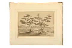 Untitled by David Frederick Markham, watercolour, offered Jul 2022
