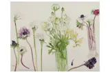 R.a., (1931-2021) by Elizabeth Blackadder, pencil, offered Jul 2022