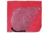 Untitled by Trevor Bell, gouache and collage, offered Jul 2022