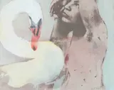 Swan Oil on canvas Signed lower right, further signed and titled to stretcher verso 41 x 51cm (16 x 20 in.) by Brent Millar, Oil on canvas, offered Oct 2019
