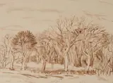 Trees & Wall, Arniston Ink and wash Signed lower left 26.5 x 36cm (10¼ x 14 in.) Executed in 1968 by William George Gillies, 1968, Ink and wash, sold Oct 2019