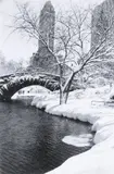 Central Park after a snowstorm, New York, 1959 Gelatin silver print Signed in ink and numbered 106/250 in the margin; Time Inc by Alfred Eisenstaedt, Gelatin silver print, offered Oct 2019