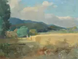 The Cornfield Oil on canvas Signed lower left 76 x 101.5cm (29¾ x 39¾ in.) by Tom Carr, Oil on canvas, sold Oct 2019