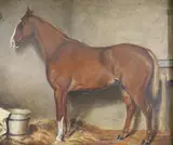 Study of a horse in a stable by J. Danson, 1881, oil on board, sold Aug 2021