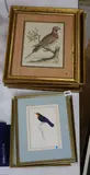 Studies of exotic birds by Jean Gabriel Prêtre, 1873, watercolor, sold Aug 2021