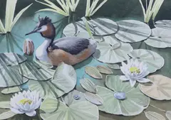 Grebe Parenthood by Noel William Cusa, watercolour, sold Aug 2021