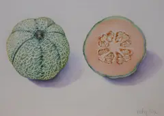 Study of a melon by Vicky Cox, watercolour, sold Aug 2021