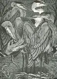 Siege of Herons by Colin See Paynton, pencil, sold Nov 2022