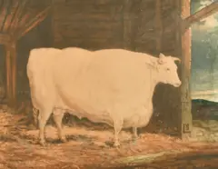 The Durham White Ox by William Ward, print (other), sold Oct 2022