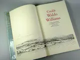 Cerddi Waldo Williams' detholiad gyda rhagymadrodd gan J E Caerwyn Williams, wedi ei ddarlunio gan Rhiain M Davies, 1992 by Gwasg Gregynog limited edition, print (other), offered Jul 2018