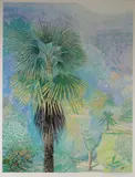 Cornish Palms II by Alex Williams print edition, print, offered Mar 2018
