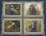 animal portrait studies, Lion, Gorilla, Orangutan and Tiger amongst foliage, oils on canvas, each signed lower right, approximately 29.5cm x 39.5cm (4) by Tony Forrest, oil, sold Dec 2016