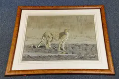 Cheetah at watering hole, pastel, signed lower left, approximately 52cm x by Kim Donaldson, pastel, sold Dec 2016
