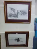 titled and annotated sketches, Tufted Duck, approximately 32cm x 46.5cm and Woodcock, approximately 35.5cm x 50.5cm (2) by P J Willett, drawing, sold Oct 2016