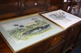 watercolour, river landscape, signed lower left, approximate size 35cm x 51.5cm, by Suzannah Jones, watercolour, sold Jun 2016