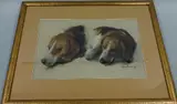 Foxhound pastel study, signed and dated 1965 bottom right, by Sam Morse-brown Arwa Ps, 1965, pastel, sold May 2016