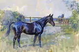 Copper Coin by Corner Boy and Penny Farthing by Peter Biegel, Watercolour, offered Jun 2016