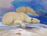 Polar bears sleeping Signed Watercolour over pencil 39.5 x 49.5cm ++One or two small blemishes, good condition by William Walls, Watercolour over pencil, sold Jun 2016