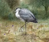Untitled by Martin Brooks, Watercolour, sold Jun 2016